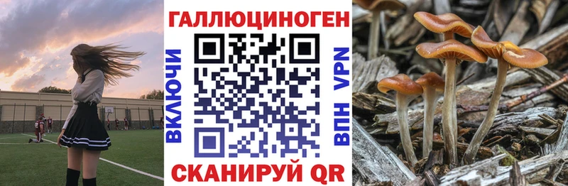 даркнет сайт  Ефремов  Галлюциногенные грибы мухоморы 