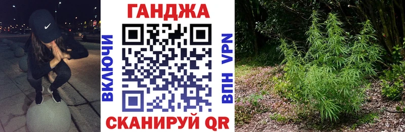 Конопля Bruce Banner  kraken онион  Ефремов 